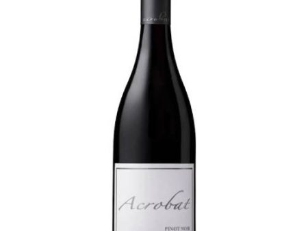 Acrobat Pinot Noir Oregon - 750ML For Discount