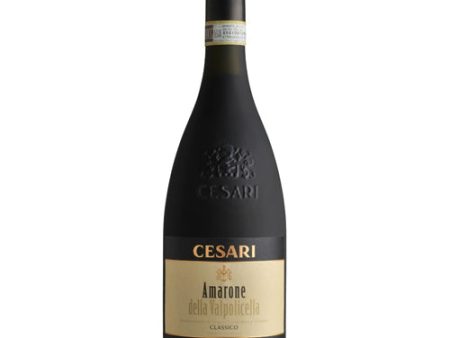 Cesari Amerone Valpolicella 750ML on Sale