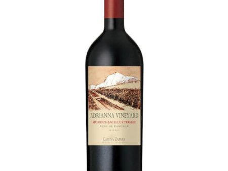 Catena Zapata Adrianna Vineyard Mundus Bacillus Terrae 2019 - 750ML For Discount