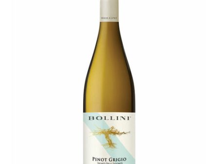 Bollini Vigneti Dolom Pinot Grigio 750ML Supply