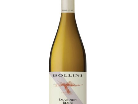 Bollini Sauvignon Blanc 750ML For Cheap